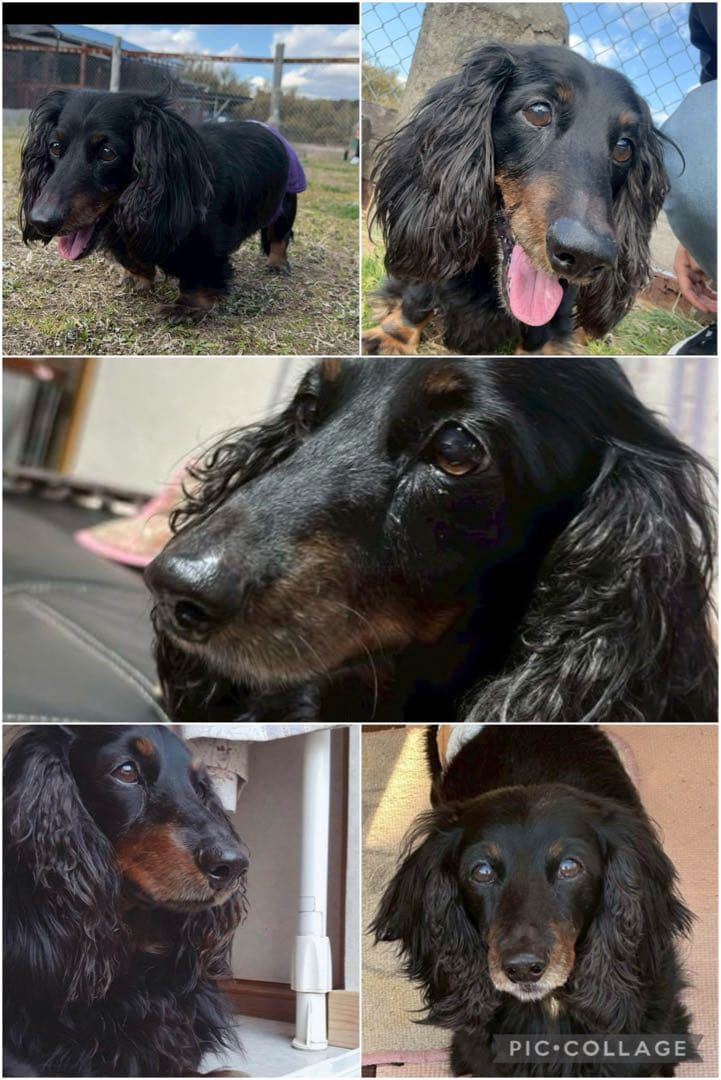 羊毛フェルトフレーム入り　l _M