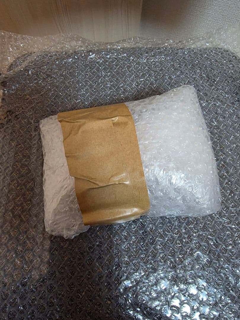 オーディオテクニカ　ATH-E70 モニターイヤホン