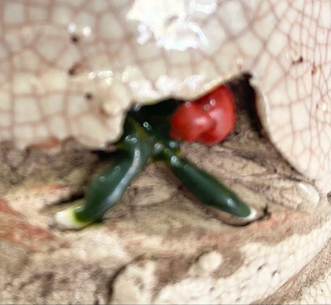 楽山焼のレトロな “天神蟹湯呑“