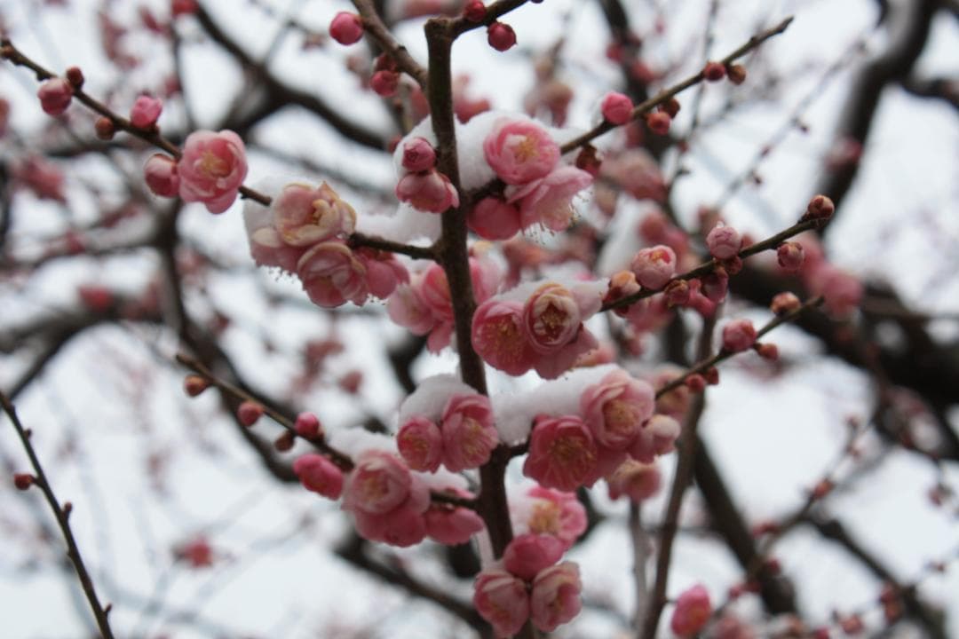 【RTさま専用】Canon EOS Kiss F デジタル一眼レフカメラ