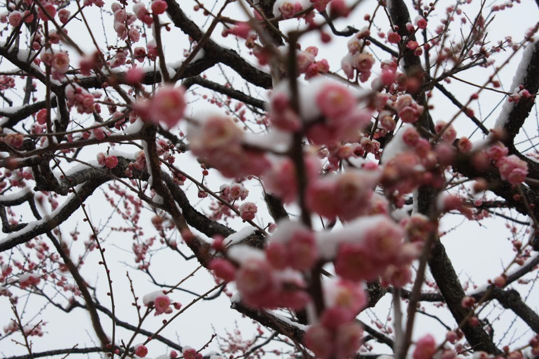 【RTさま専用】Canon EOS Kiss F デジタル一眼レフカメラ