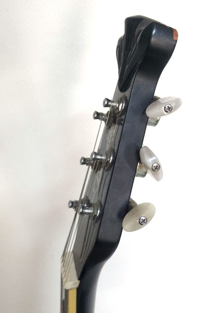 Morris エレアコ Tornado ZⅡ ソフトケース付