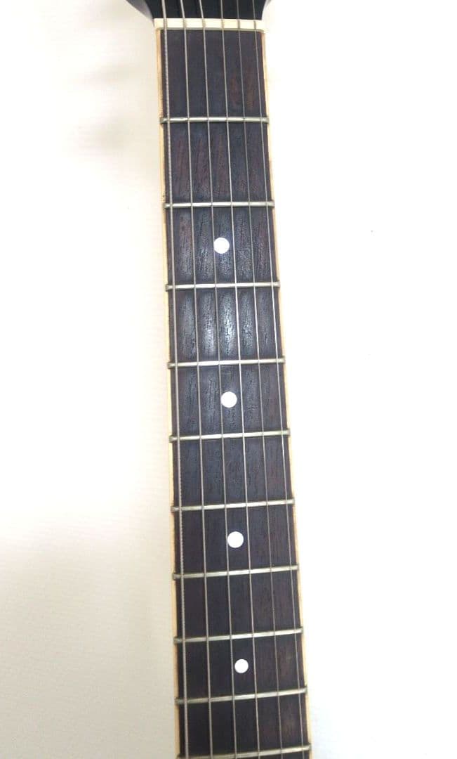 Morris エレアコ Tornado ZⅡ ソフトケース付