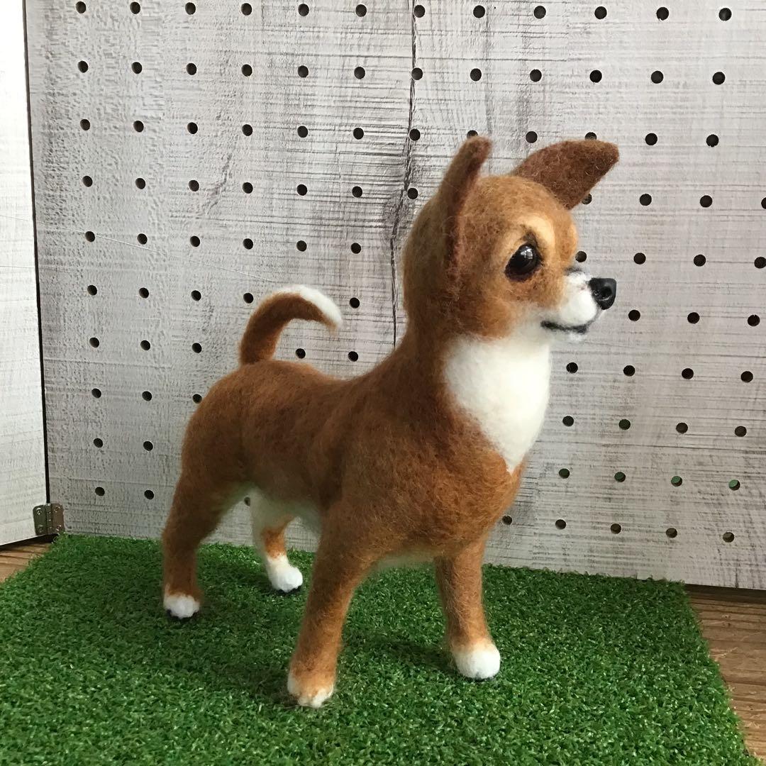 ユウジ様【スムースコートチワワオーダー品】