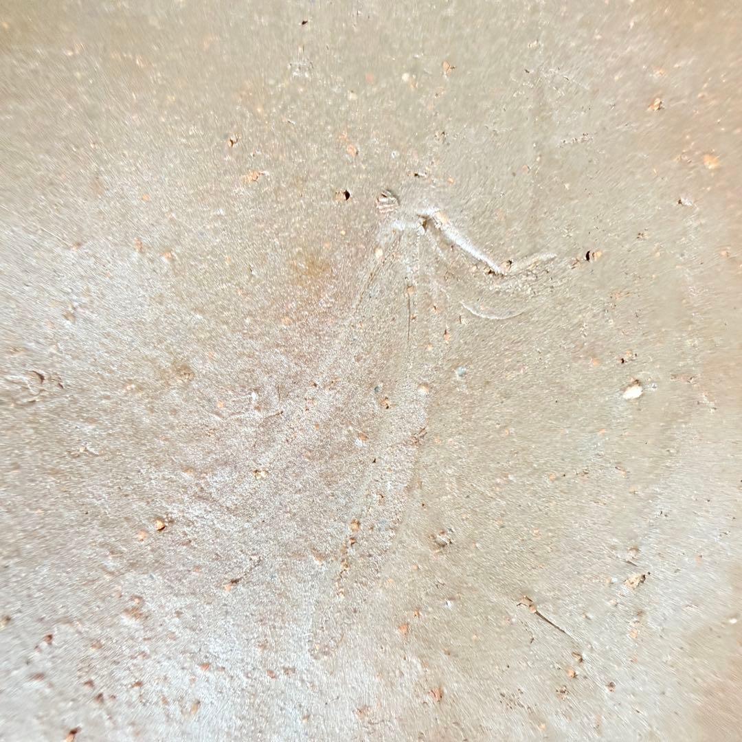 【名工】信楽焼 上田直方 造 蹲 壺 矢印 刻印 伝統工芸 骨董 酒器