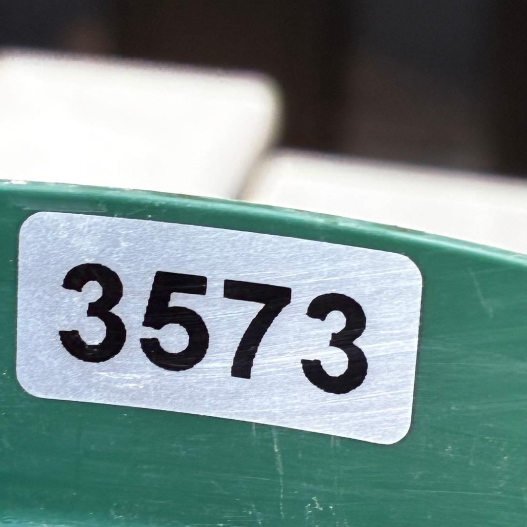 あ*号様 3573☘️蕾花付き☘️希少☘️極上☘️親株☘️⭐️黒⭐️多弁⭐️整形