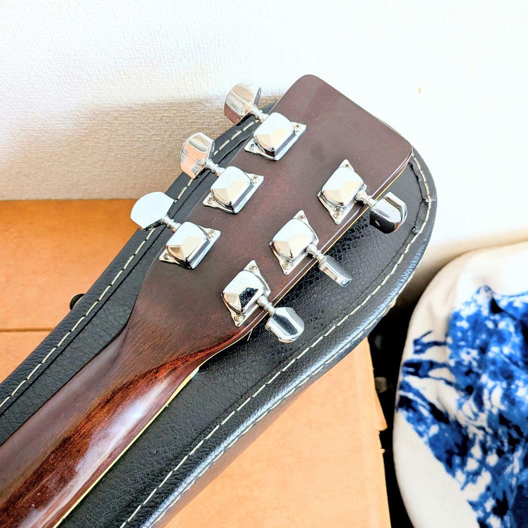 PRO　Matinアコースティックギター縦ロゴ　 スプルーストップ