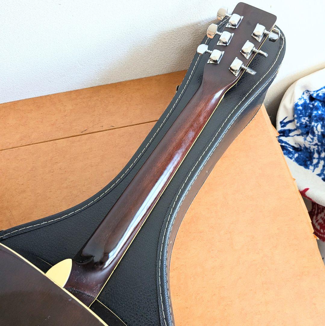 PRO　Matinアコースティックギター縦ロゴ　 スプルーストップ