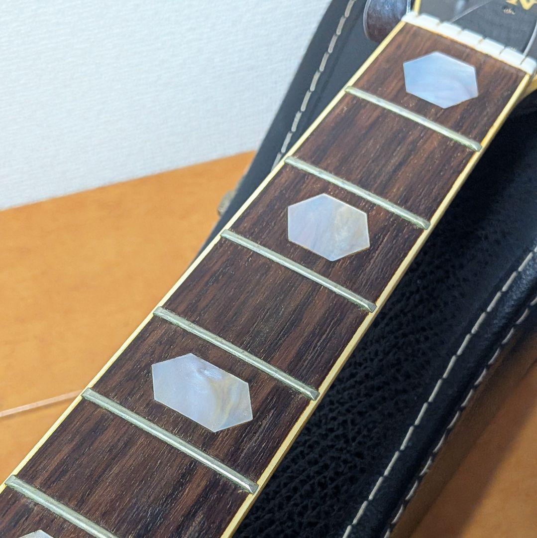 PRO　Matinアコースティックギター縦ロゴ　 スプルーストップ