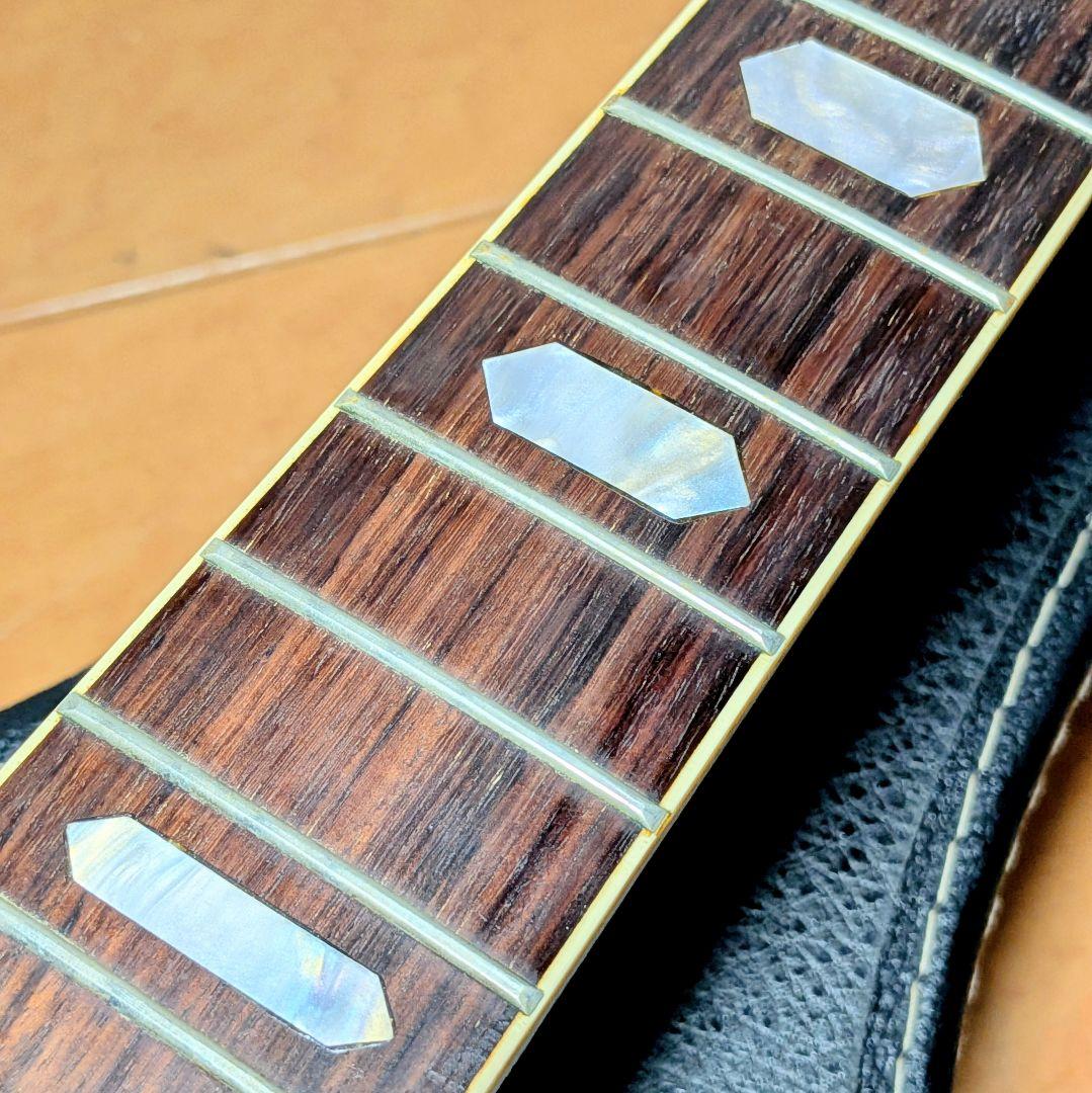 PRO　Matinアコースティックギター縦ロゴ　 スプルーストップ