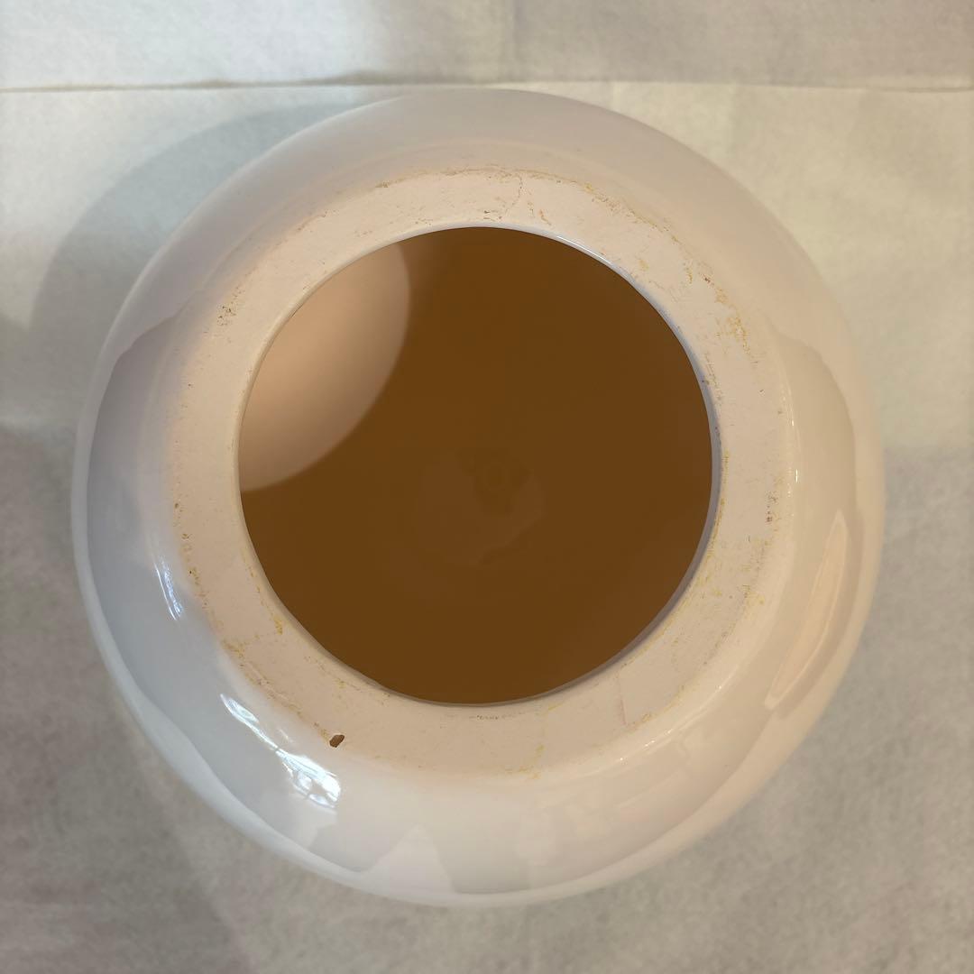 ドクターコパ　大天下玉