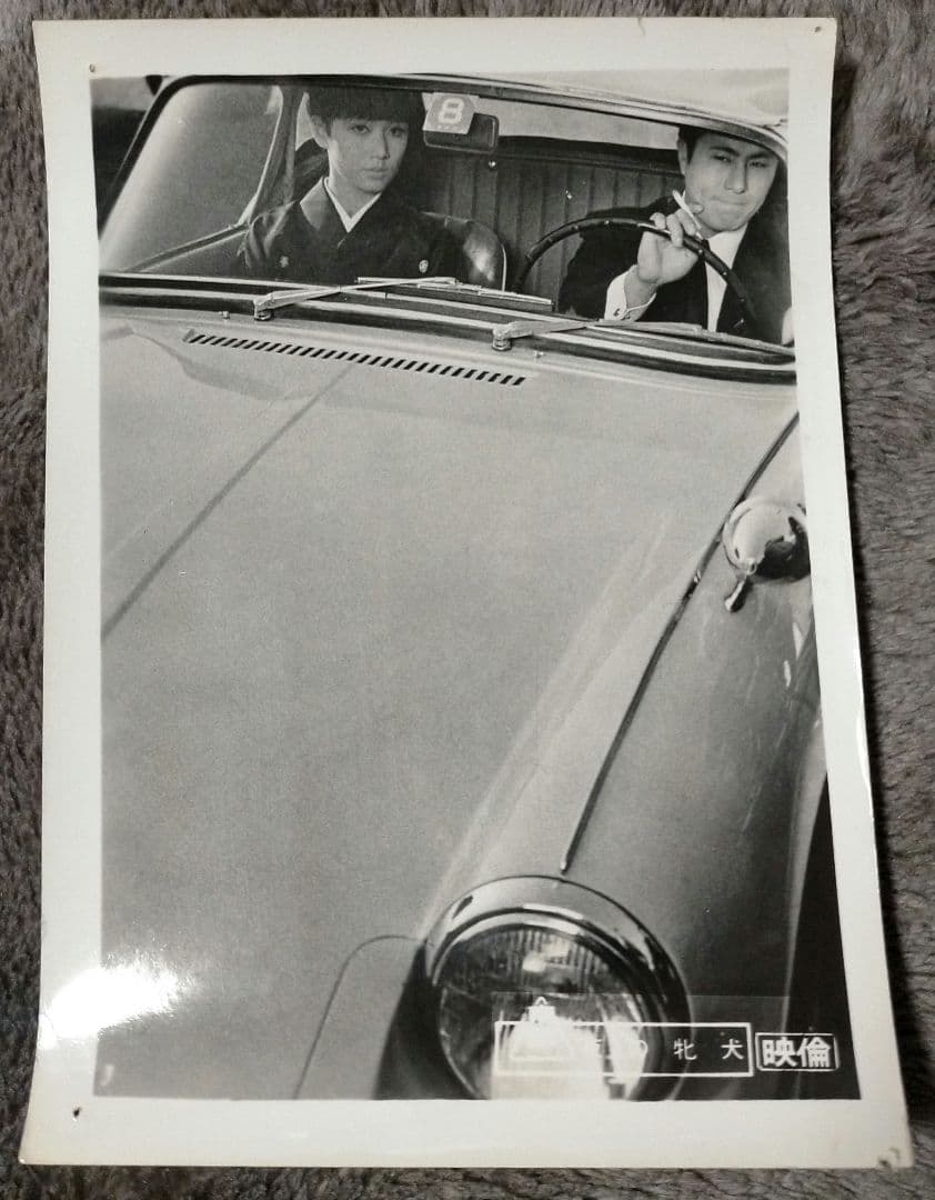 ※半額条件あり【梅宮辰夫主演映画スチール写真９枚_貴重】夜の牝犬 地獄の波止場