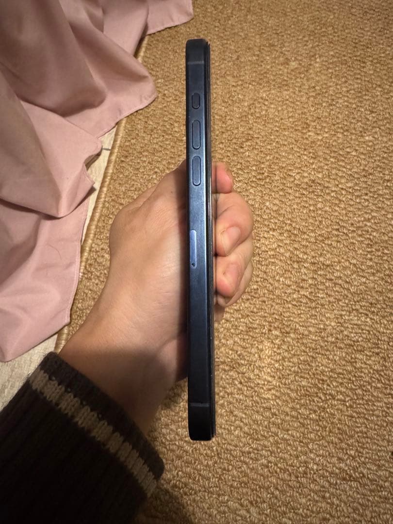 海外版 iPhone 15 Pro Max 1TB，極美品，バッテリーは100%