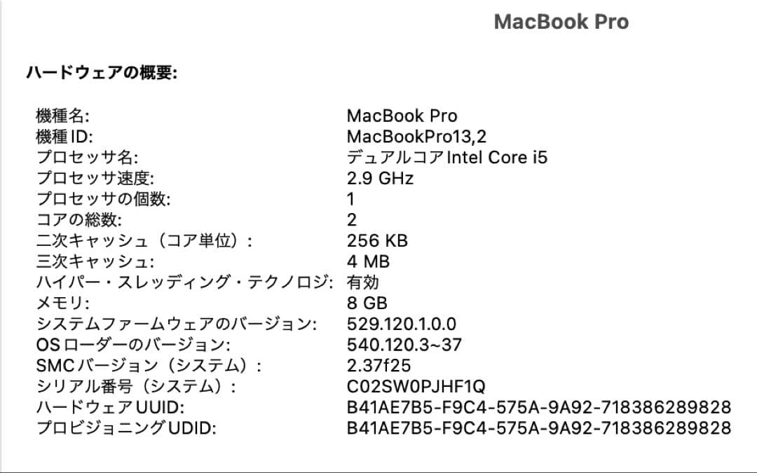 Apple MacBook Pro 本体 13インチ 箱付き