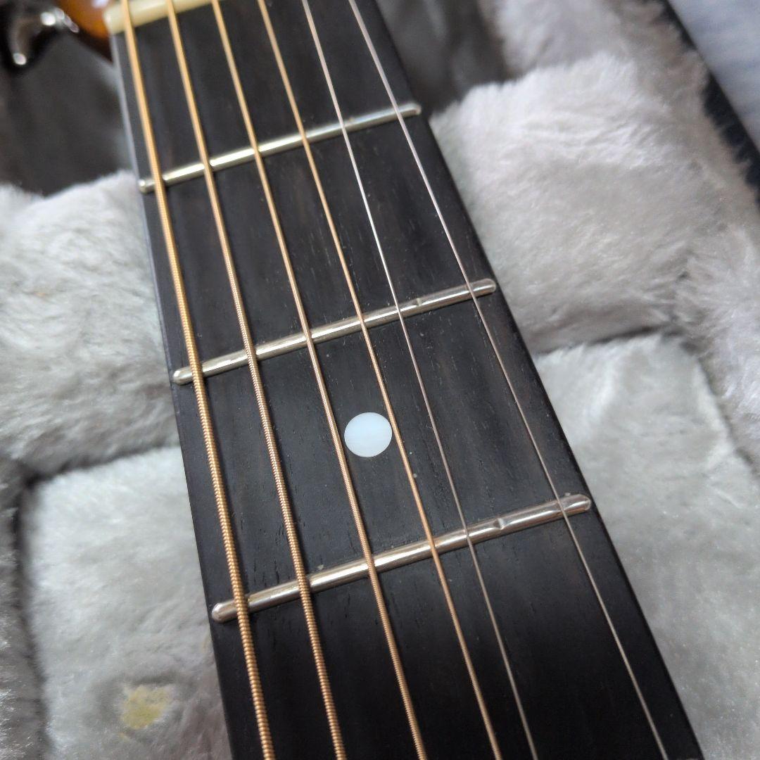 ANUENUE LS700 アコースティックギター アヌエヌエ