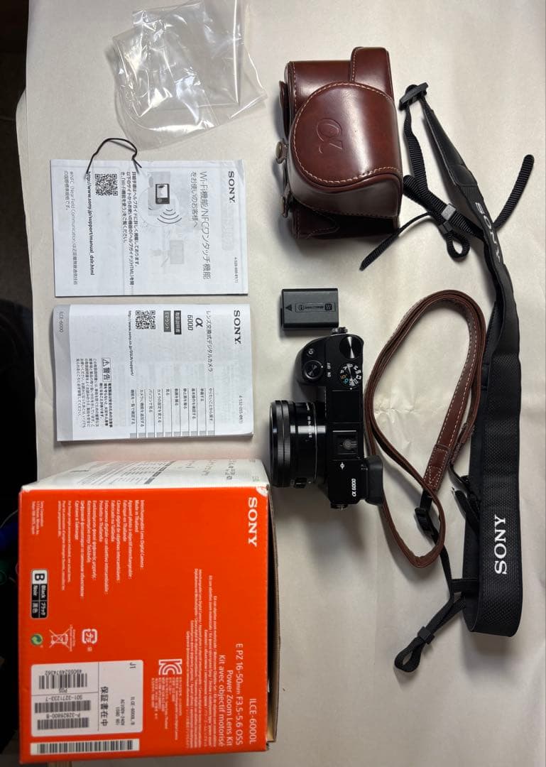 SONY α6000 標準レンズ付 美品 シャッター723回
