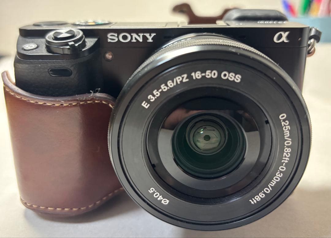SONY α6000 標準レンズ付 美品 シャッター723回
