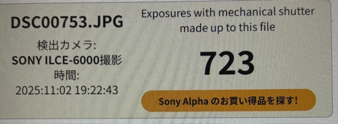 SONY α6000 標準レンズ付 美品 シャッター723回