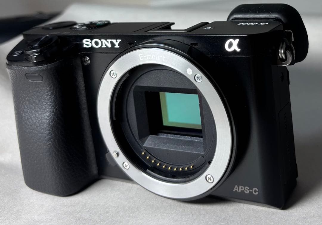 SONY α6000 標準レンズ付 美品 シャッター723回