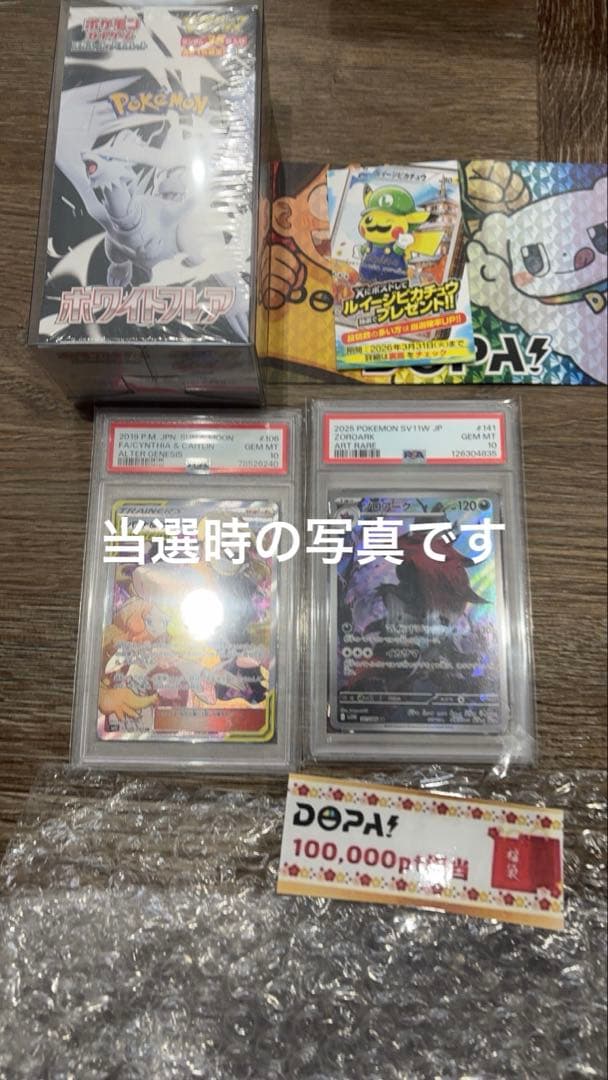 シロナ&カトレア psa10