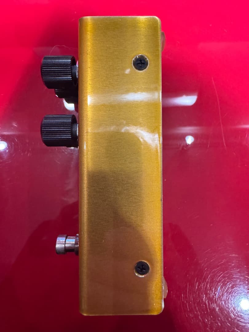 ギター REVV G2 Limited Edition GOLD