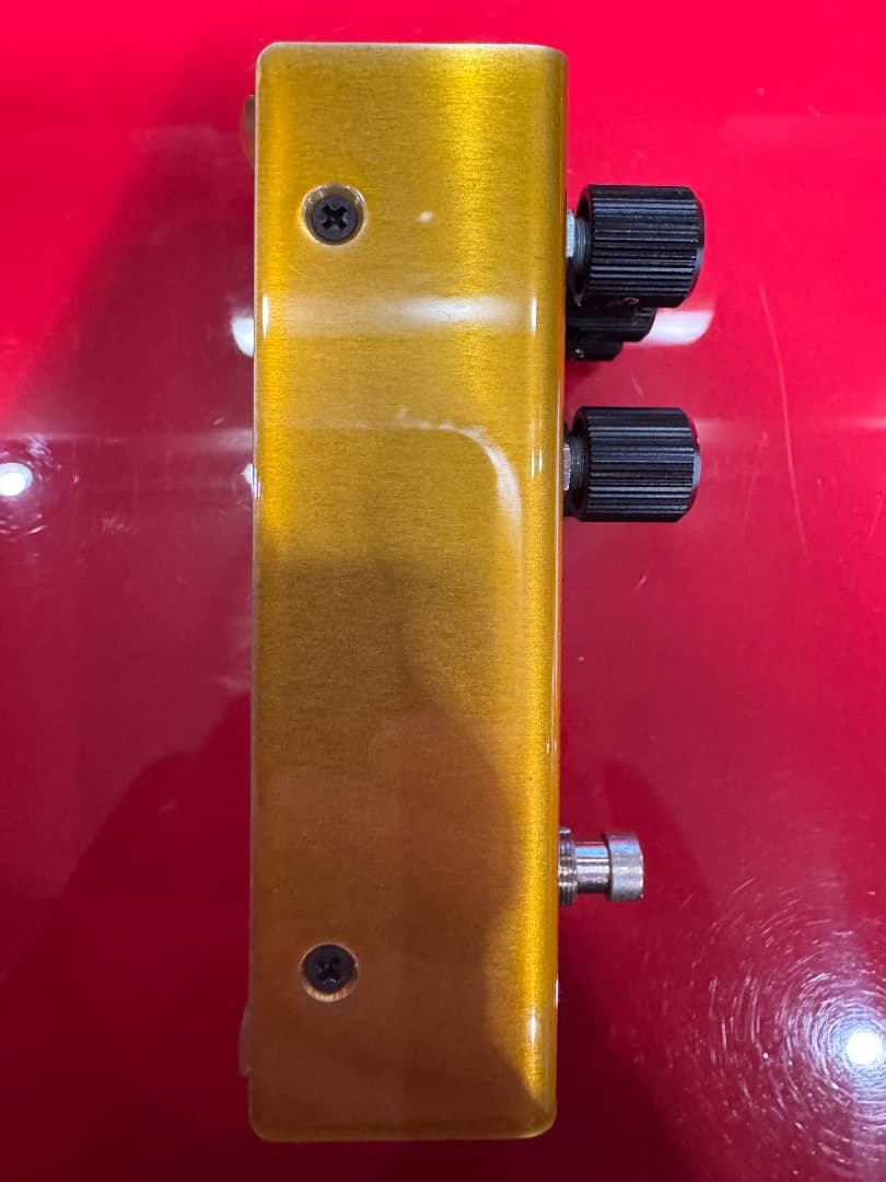 ギター REVV G2 Limited Edition GOLD