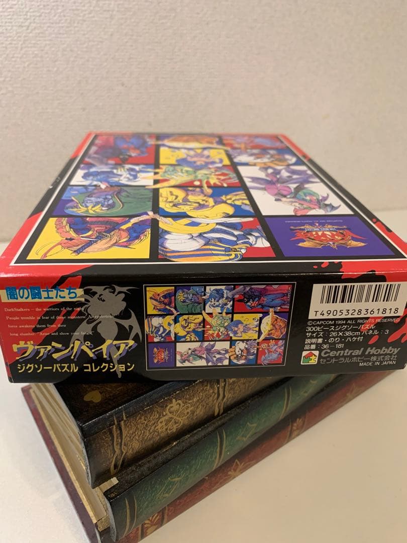 VAMPIER the night warriors ヴァンパイア闇の闘士たち