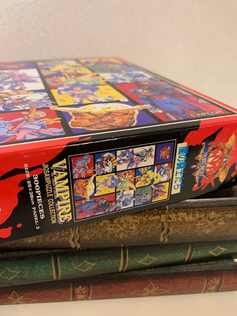 VAMPIER the night warriors ヴァンパイア闇の闘士たち