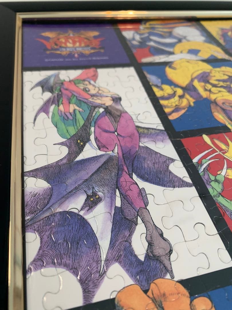 VAMPIER the night warriors ヴァンパイア闇の闘士たち