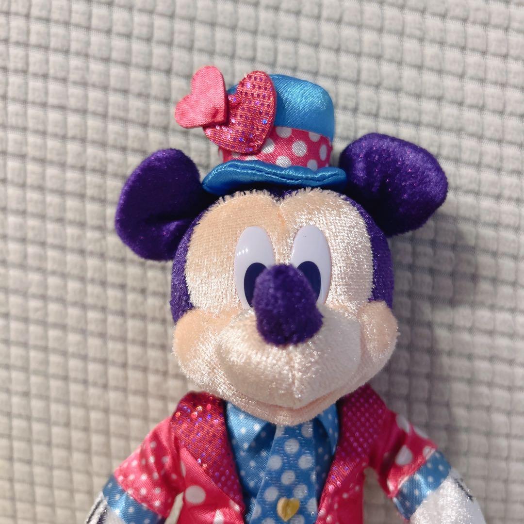 ディズニーランド ミニーのファンダーランド ミニパル ぬいぐるみバッジ 2点