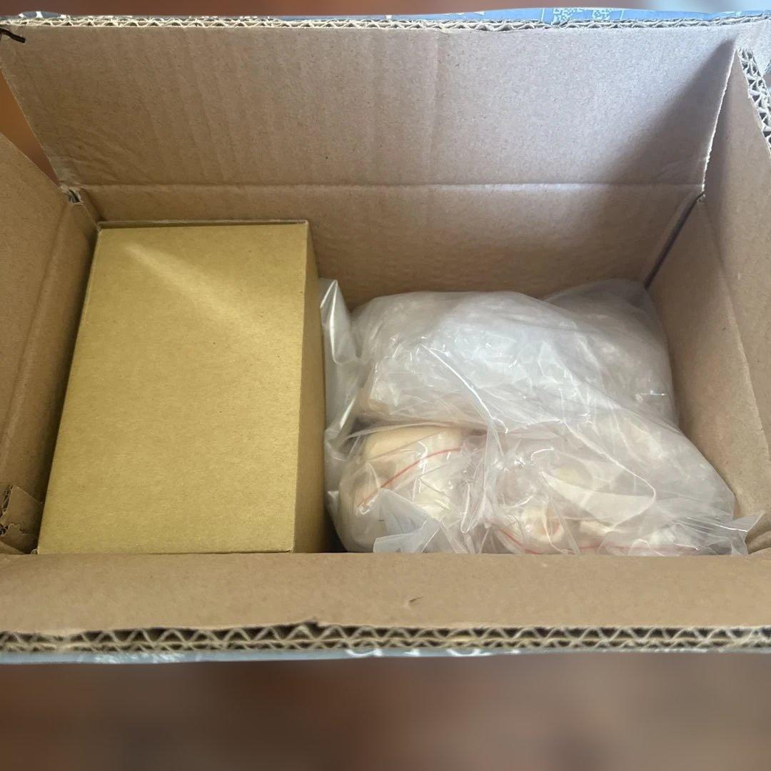 1/4 ガレージキット Fate / Grand Order ジャンヌ・オルタ