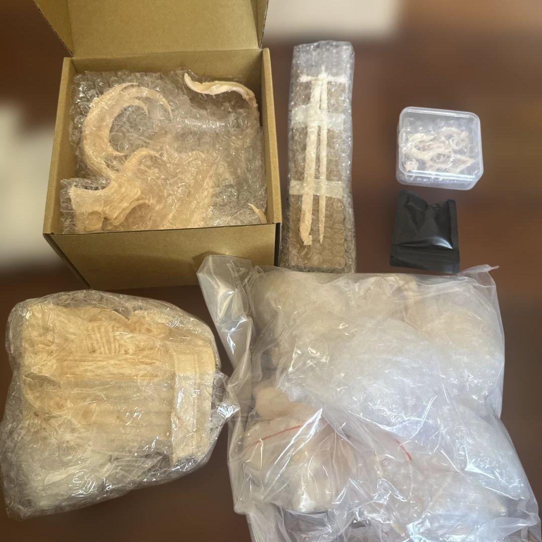 1/4 ガレージキット Fate / Grand Order ジャンヌ・オルタ