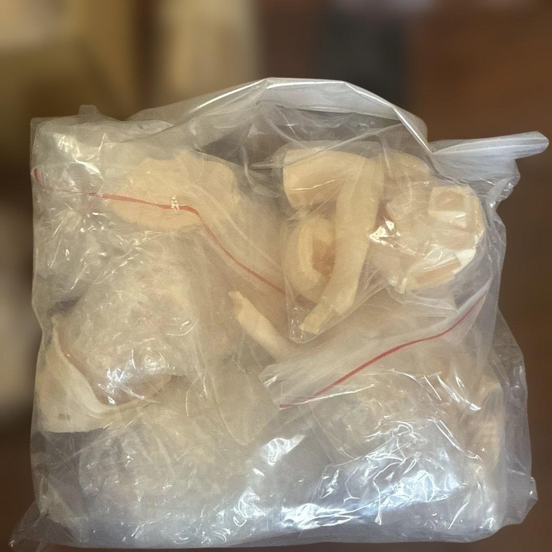 1/4 ガレージキット Fate / Grand Order ジャンヌ・オルタ