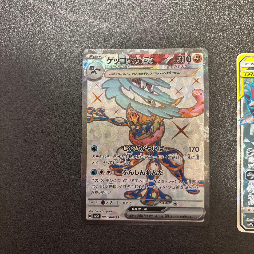 ゲッコウガ11枚セット