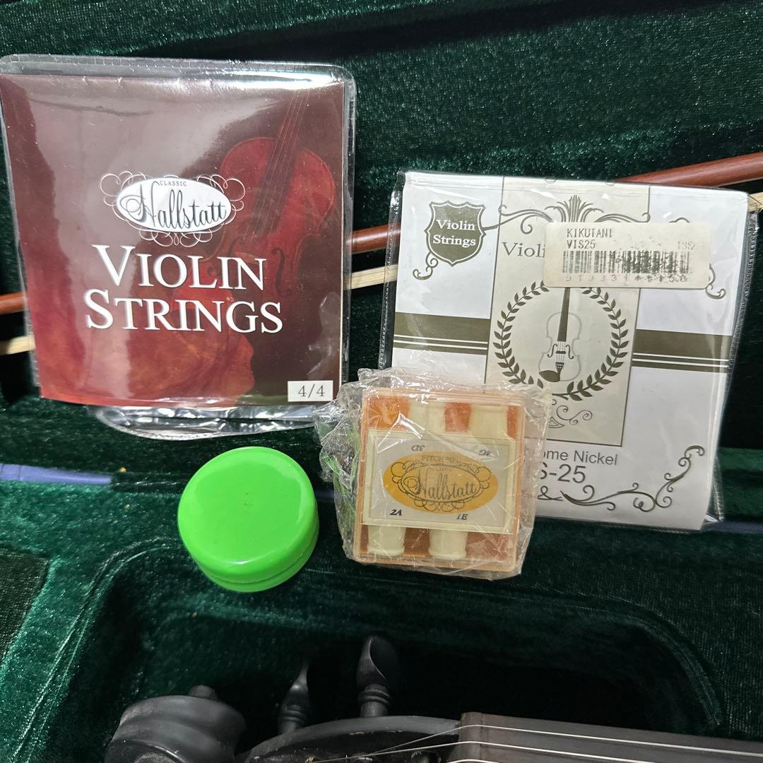 hallstatt ハルシュタット EV-30 エレキバイオリン