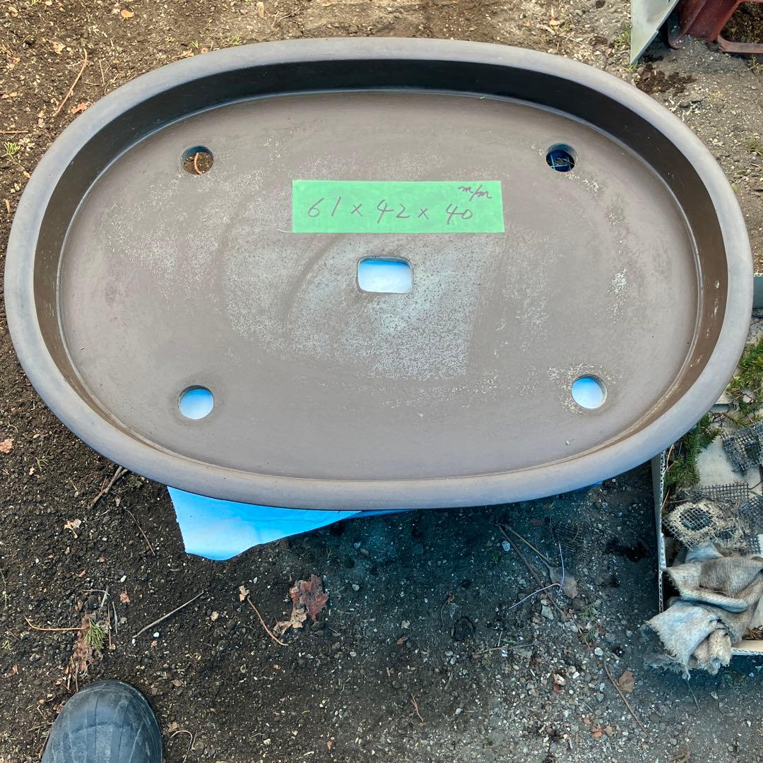 大型皿鉢　盆景　寄せ植え