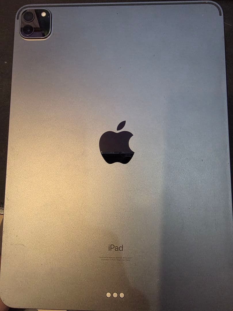 Apple iPad Pro (11インチ) 第3世代 256GB