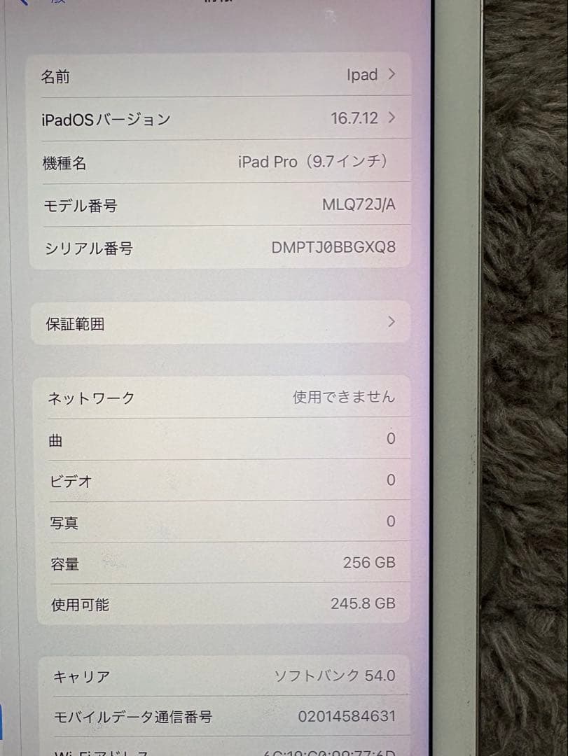 Apple iPad Pro 9.7インチ　本体　ケース付き