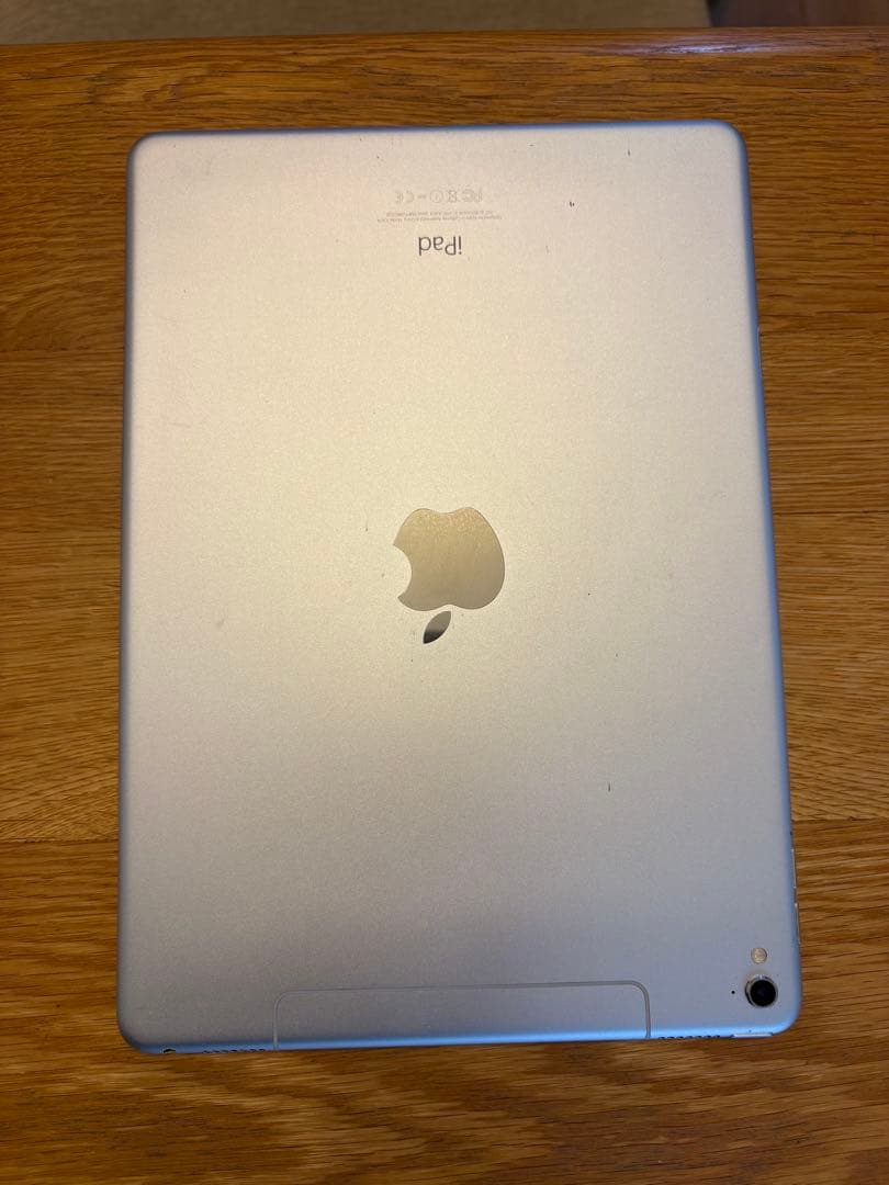 Apple iPad Pro 9.7インチ　本体　ケース付き