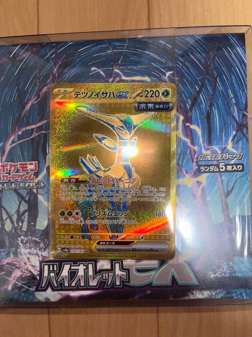 カイリューEX バイオレットEXボックス