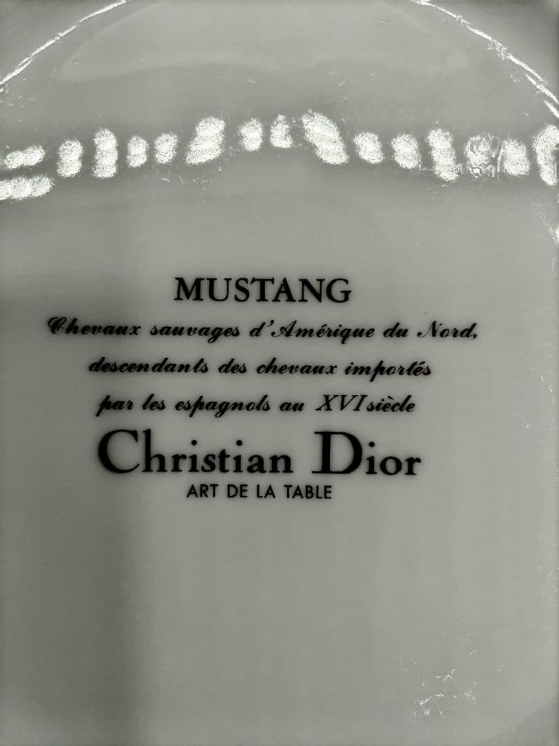 クリスチャンディオール　 サラダボウルMUSTANG