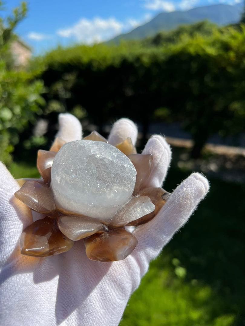 A129メノウ 蓮 ジオード マルビナス産 【一点物 】