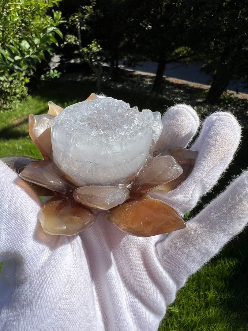 A129メノウ 蓮 ジオード マルビナス産 【一点物 】