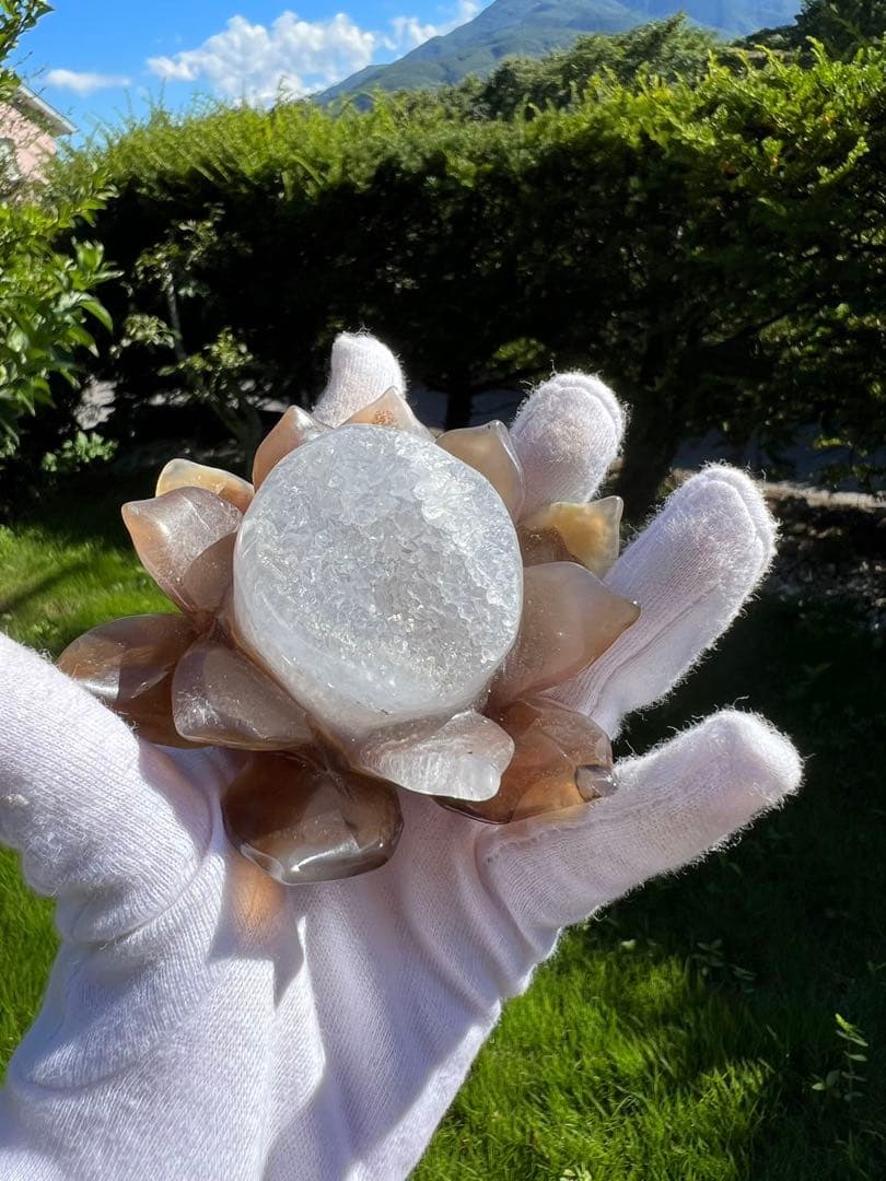 A129メノウ 蓮 ジオード マルビナス産 【一点物 】