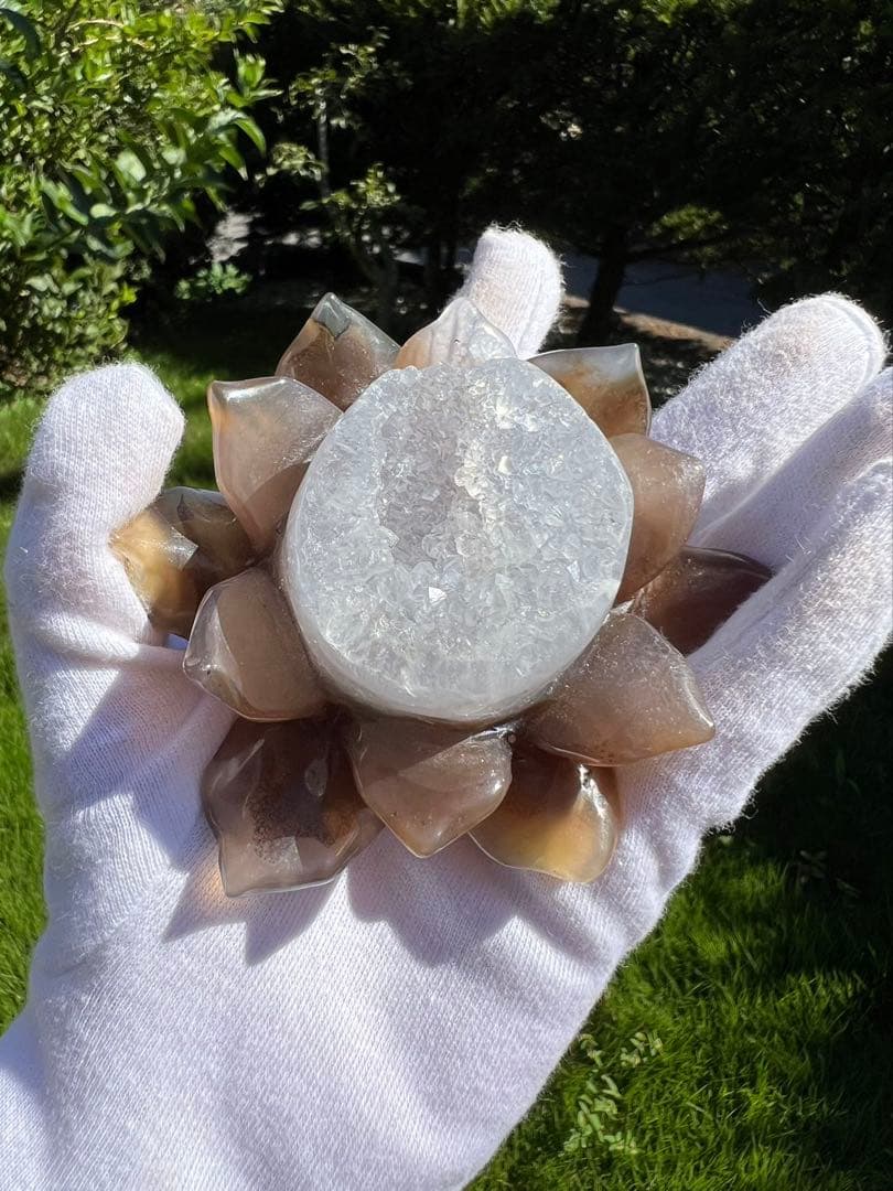 A129メノウ 蓮 ジオード マルビナス産 【一点物 】