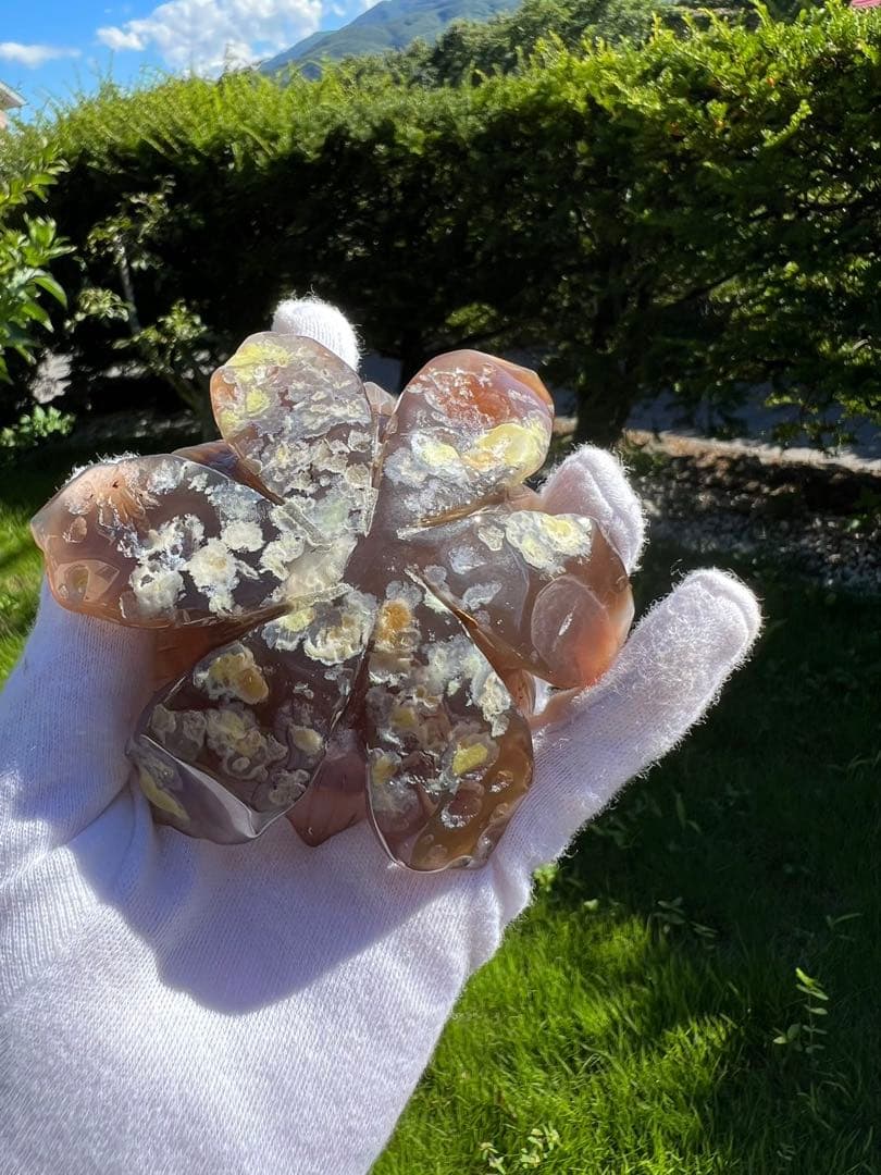 A129メノウ 蓮 ジオード マルビナス産 【一点物 】