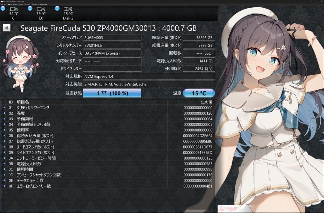 DRAM・ヒートシンク付きハイエンドSSD 4TB 3本 計12TB