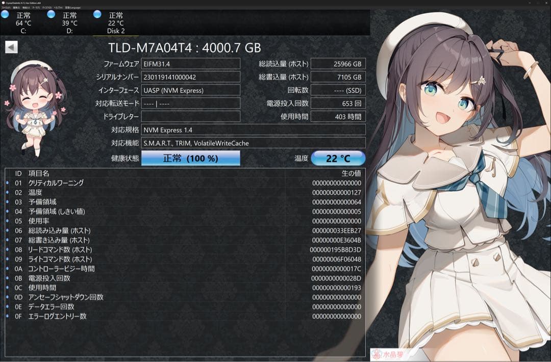 DRAM・ヒートシンク付きハイエンドSSD 4TB 3本 計12TB