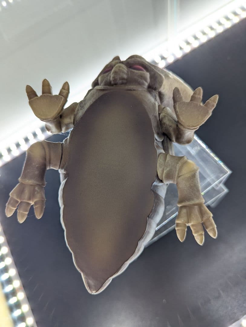 セル　抜け殻　フィギュア　アソビストア限定　当選品　一番くじ　フィギュアーツ