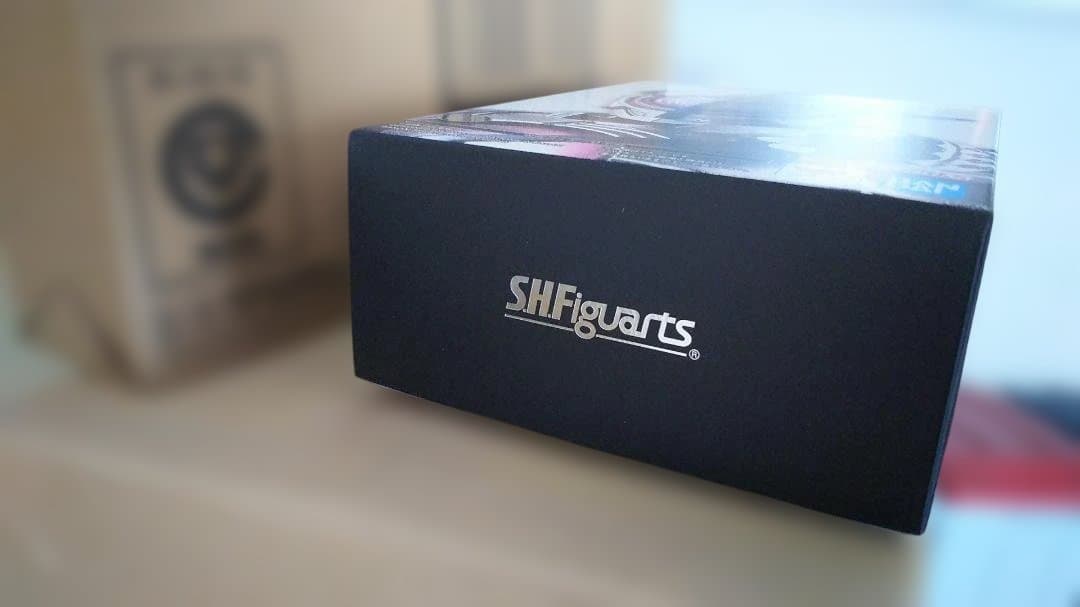 真骨彫 仮面ライダーサイガ 未開封